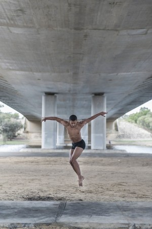 Local stars to join LINK Dance Company
